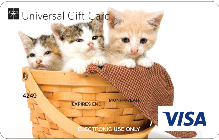 Large three kittens ugc visa card